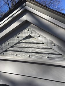 Gable vent sealed to keep squirrels out